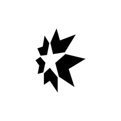 star logo 