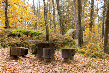 Stimmungsaufheller, Freude über die schönen Farben des Herbstes, Ruhe und Entspannung, die man in der Natur findet, Dankbarkeit für das, was man hat, Wehmut über das Ende des Sommers in der Blockheide