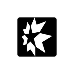 Fototapeta premium star logo 