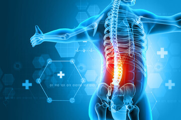 pain in the spine, pain in the back, highlighted in red, x-ray view. 3d illustration