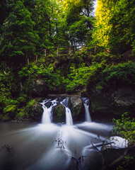 Obraz premium waterfall in the woods