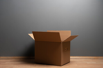 new single cardboard package isolated, blank template