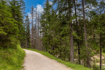 Fototapeta premium Mountain trekking itinerary