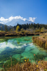 Autumnal landscape in Zelenci, Slovenia