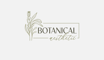 Abstract Plant Botanical Flower Line Art Line Drawing. Universal creative premium symbol. Vector illustration. Creative Minimal design template