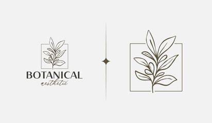 Abstract Plant Botanical Flower Line Art Line Drawing. Universal creative premium symbol. Vector illustration. Creative Minimal design template