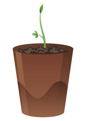 Flower growth stage in brown pot on white background. Vector illustration phase sprout of small flower
