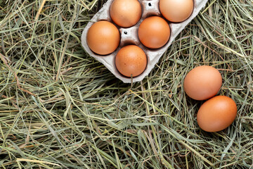 Paper tray with gray chicken eggs on a background of hay.