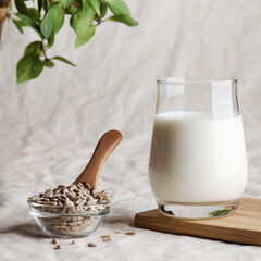 Sunflower seed milk in glass on textile background with plant. copy space. Raw diet meal. Healthy...