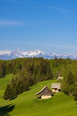 Fototapeta na wymiar Typical wooden log cabins in Gorjuse, Triglavski national park, Slovenia