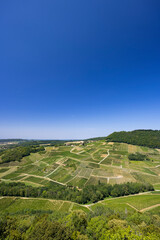 Vineyards near Chateau Chalon, Department Jura, Franche-Comte, France
