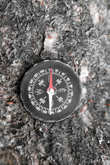 round compass on natural background