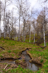 South Ural rough stream with a unique landscape, vegetation and diversity of nature.