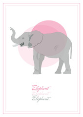 elephant illustration on background