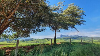 Caminhando com o pico