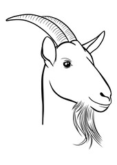 goat outline illustration on transparent background