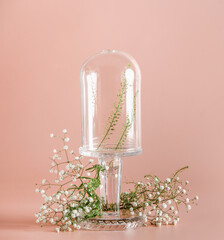Empty glass dome with green leaves and gypsophila flowers on pastel pink background. Scene stage showcase mock up. Advertising template