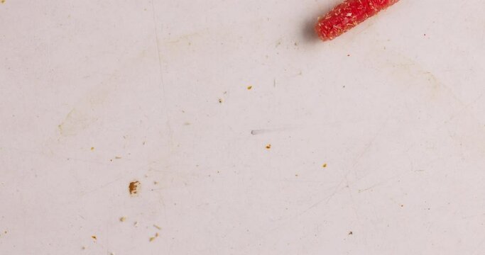 Red Maggot Fly Larva closeup. Fishing Bait. Background. Food Protein.