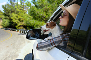 Beautiful young woman in the car with her adorable rough coated pup. Smiling female sitting in the...
