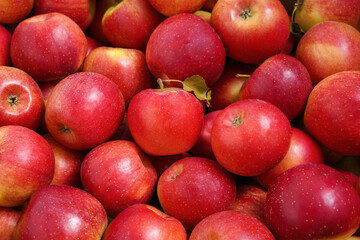 quality tasty red apples. new harvest, background, food texture. the concept of healthy and vitamin nutrition.