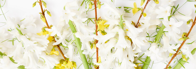 Spring banner of small flowers and hyacinths, floral arrangement