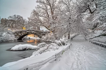 Stickers fenêtre Pont de Gapstow Gapstow Bridge in Central Park, snow storm