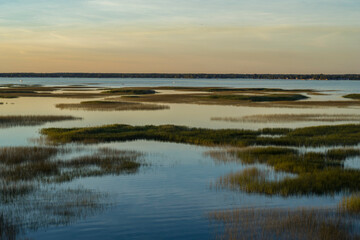 Wetlands Grasses, St. Clair River Estuary, Michigan