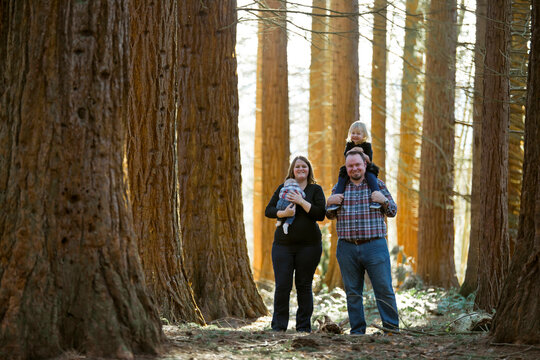 Family of four smiling in a forest setting