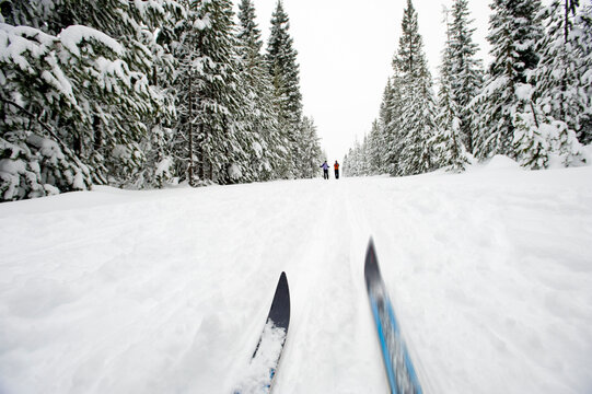 Low angle view of cross country ski tips and two young women nordic skiing on a cross country trail in the snow in Bend, Oregon.