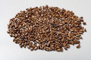 angle view herb JueMingZi or Cassiae Semen or Sickle Senna Seed