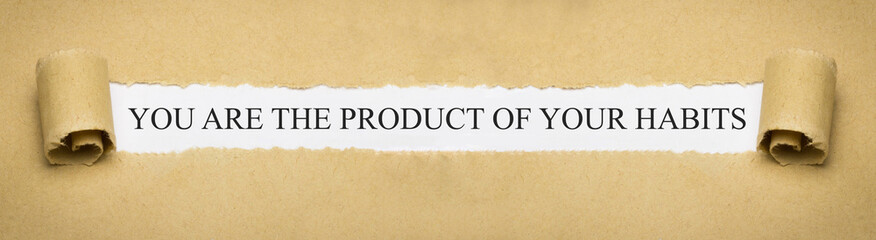 you are the product of your habits