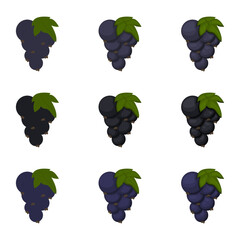 A vector drawn blackcurrant illustration with various colors and amount of details	
