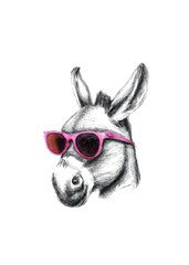 donkey with pink glasses, pencil drawing. Generative AI