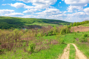Fototapeta na wymiar Country road and green fields . Springtime rustic landscape