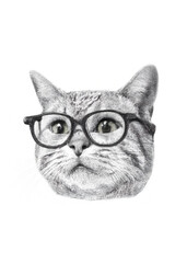 cat with glasses, pencil drawing. Generative AI