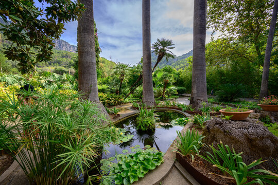 Jardins d'Alfabia