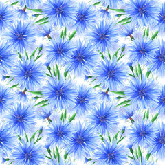 
Watercolor blue cornflowers in a seamless pattern. Can be used as fabric, wallpaper, wrap.