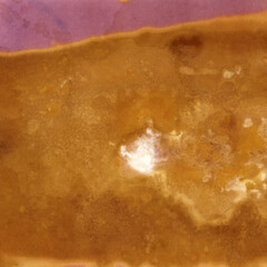 Obraz premium Abstract lumen print texture background