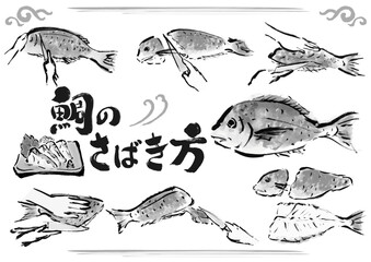 鯛のさばき方　魚をさばく手順　手描き和風イラストセット　白黒,モノクロ,単色, ベクター - obrazy, fototapety, plakaty