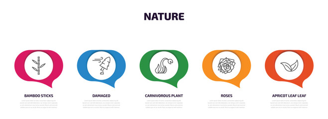 nature infographic element with outline icons and 5 step or option. nature icons such as bamboo sticks, damaged, carnivorous plant, roses, apricot leaf leaf vector.