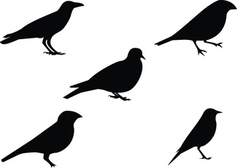 collection of birds. Set of decorative bird silhouettes. Vector illustration. Birds flying and sitting