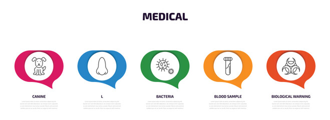 medical infographic element with outline icons and 5 step or option. medical icons such as canine, l, bacteria, blood sample, biological warning vector.