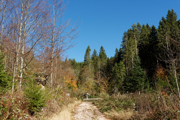 Deutschland - Baden-Württemberg - Schluchseer Jägersteig