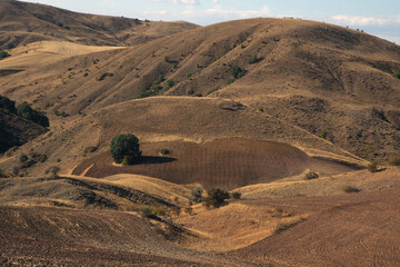 Fototapeta na wymiar Heart shaped field on the steppe in Ankara, Türkiye.