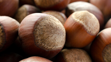 Hazelnut, photo. Hazelnut background, texture, top view. Hazelnut close-up, top view. Hazelnut food background, texture, top view.