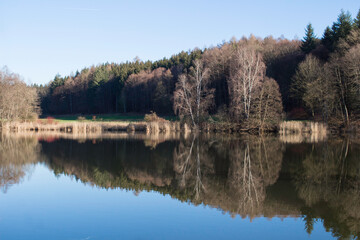 Fototapeta premium Winterlandschaft am See, ohne Schnee