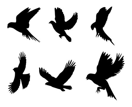 The illustrations and clipart. set of silhouettes of birds views from the right to the left.