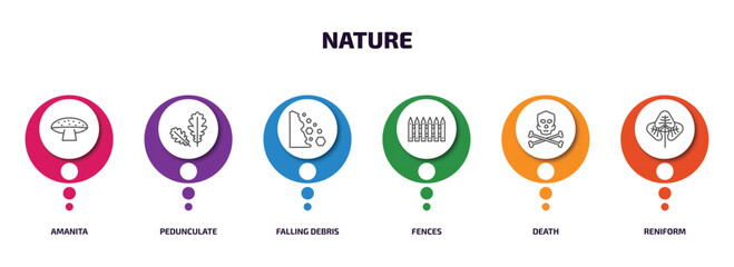 nature infographic element with outline icons and 6 step or option. nature icons such as amanita, pedunculate, falling debris, fences, death, reniform vector.