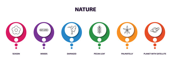 nature infographic element with outline icons and 6 step or option. nature icons such as season, woods, damaged, pecan leaf, palmatelly, planet with satellite vector.