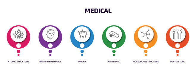 medical infographic element with outline icons and 6 step or option. medical icons such as atomic structure, brain in bald male head, molar, antibiotic, molecular structure, dentist tool vector.